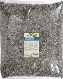 Intratuin Sonnenblumenkerne 2,5 kg| Gartenvögel|Vogelfutter