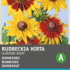 Intratuin Sonnenhut (Rudbeckia hirta 'Gloriosa Daisy') Blumensamen| Blühende Pflanzen|Saatgut