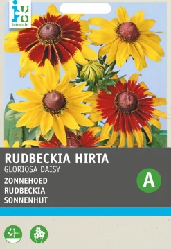 Intratuin Sonnenhut (Rudbeckia hirta 'Gloriosa Daisy') Blumensamen| Blühende Pflanzen|Saatgut