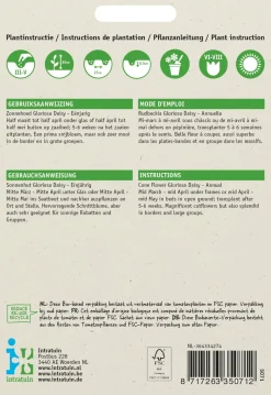 Intratuin Sonnenhut (Rudbeckia hirta 'Gloriosa Daisy') Blumensamen| Blühende Pflanzen|Saatgut