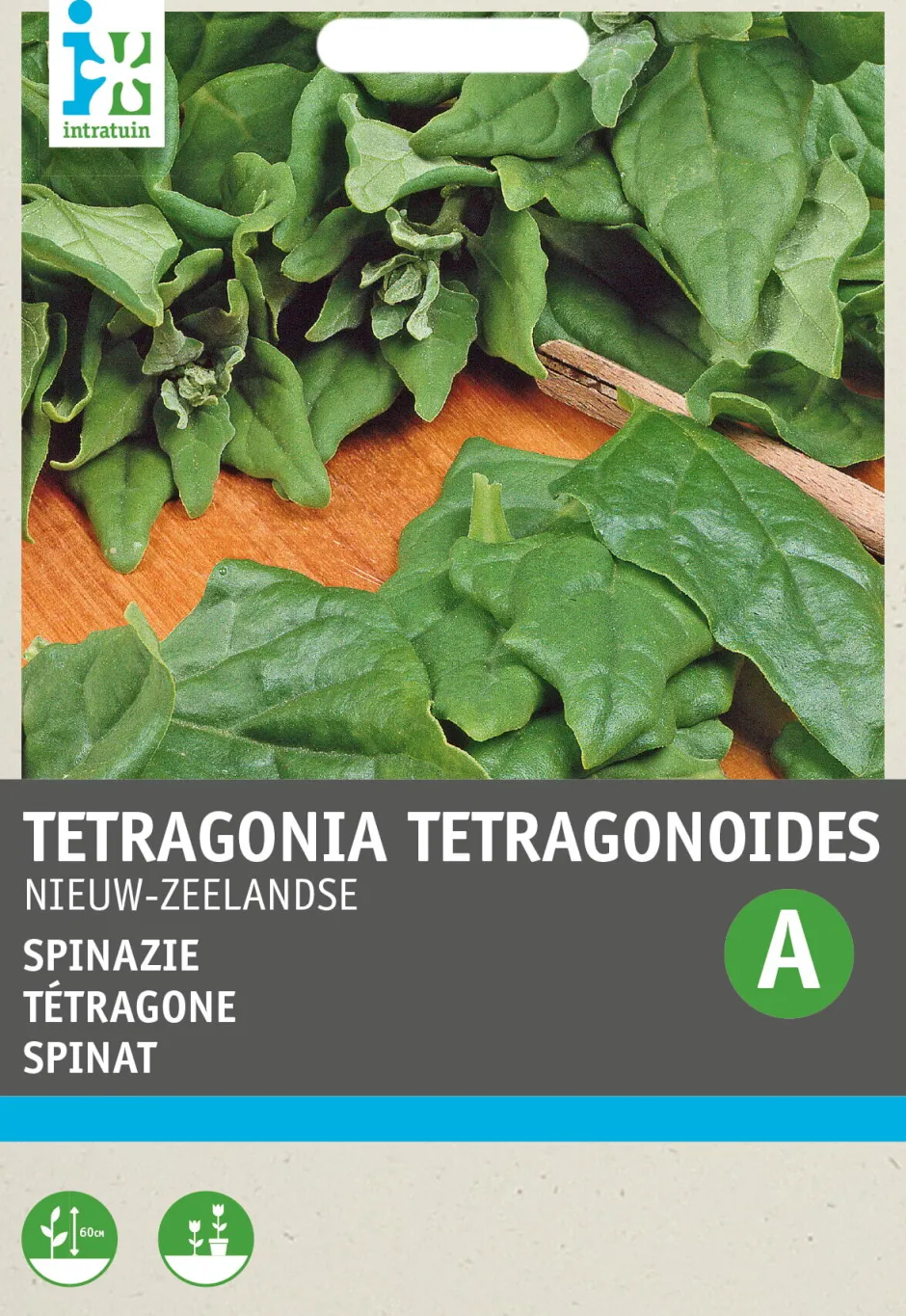 Intratuin Spinat Neuseeländer (Tetragonia tetragonoides) Samen| Gemüsesamen|Saatgut