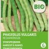Intratuin Stangenbohne (Phaseolus vulgaris 'Neckarkönigin') (BIO) Samen| Gemüsesamen|Saatgut