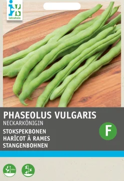 Intratuin Stangenbohne (Phaseolus vulgaris 'Neckarkönigin') (BIO) Samen| Gemüsesamen|Saatgut