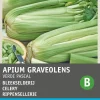 Intratuin Stangensellerie (Apium graveolens 'Groene van Pascal') Samen| Gemüsesamen|Saatgut