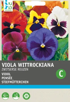 Intratuin Stiefmütterchen (Viola wittrockiana 'Schweizer Riesen') Blumensamen-Mischung| Saatgut|Blühende Pflanzen