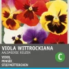 Intratuin Stiefmütterchen (Viola wittrockiana 'Riesen von Aalsmeer') Blumensamen-Mischung| Saatgut|Blühende Pflanzen