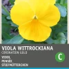 Intratuin Stiefmütterchen gelb (Viola wittrockiana 'Coronation gold') Blumensamen| Saatgut|Blühende Pflanzen