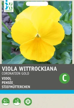 Intratuin Stiefmütterchen gelb (Viola wittrockiana 'Coronation gold') Blumensamen| Saatgut|Blühende Pflanzen