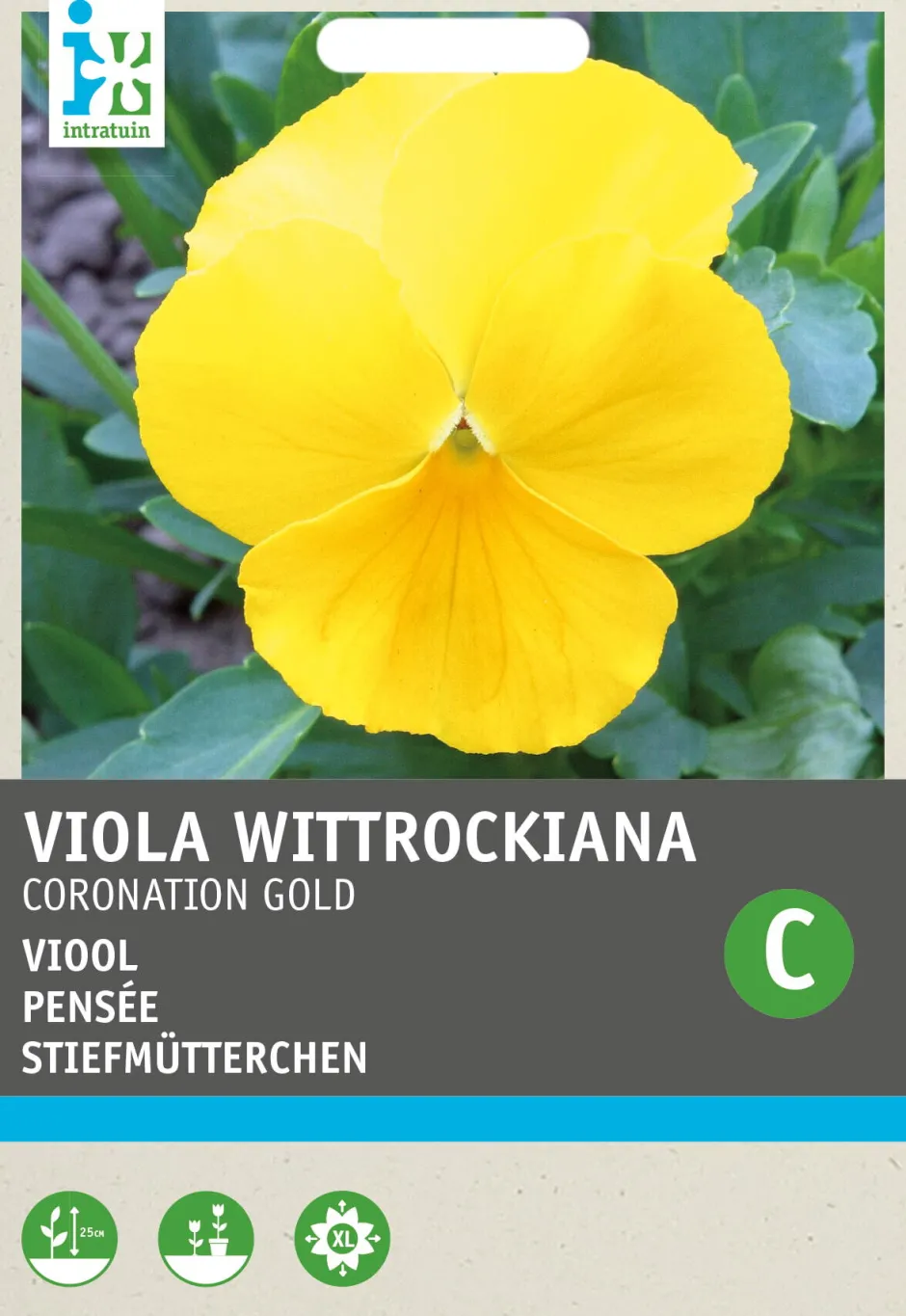 Intratuin Stiefmütterchen gelb (Viola wittrockiana 'Coronation gold') Blumensamen| Saatgut|Blühende Pflanzen