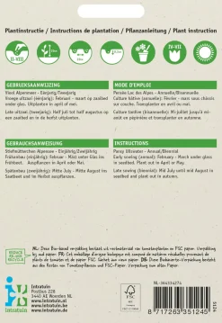 Intratuin Stiefmütterchen dunkelblau (Viola wittrockiana 'Alpensee') Blumensamen| Saatgut|Blühende Pflanzen