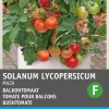 Intratuin Strauchtomate (Solanum lycopersicum 'Maja Origineel') Samen| Gemüsesamen|Saatgut
