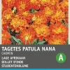 Intratuin Studentenblume rostbraun-gelb (Tagetes patula 'Carmen') Blumensamen| Blühende Pflanzen|Saatgut