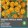 Intratuin Studentenblume (Tagetes patula 'Honeycomb') Blumensamen| Saatgut|Blühende Pflanzen