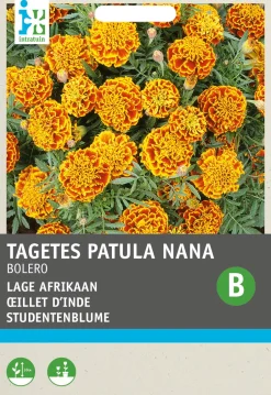Intratuin Studentenblume (Tagetes patula 'Honeycomb') Blumensamen| Saatgut|Blühende Pflanzen