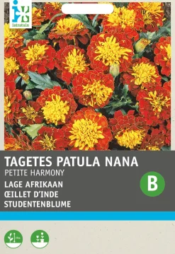 Intratuin Studentenblume (Tagetes 'Petite Harmony') Blumensamen| Saatgut|Blühende Pflanzen