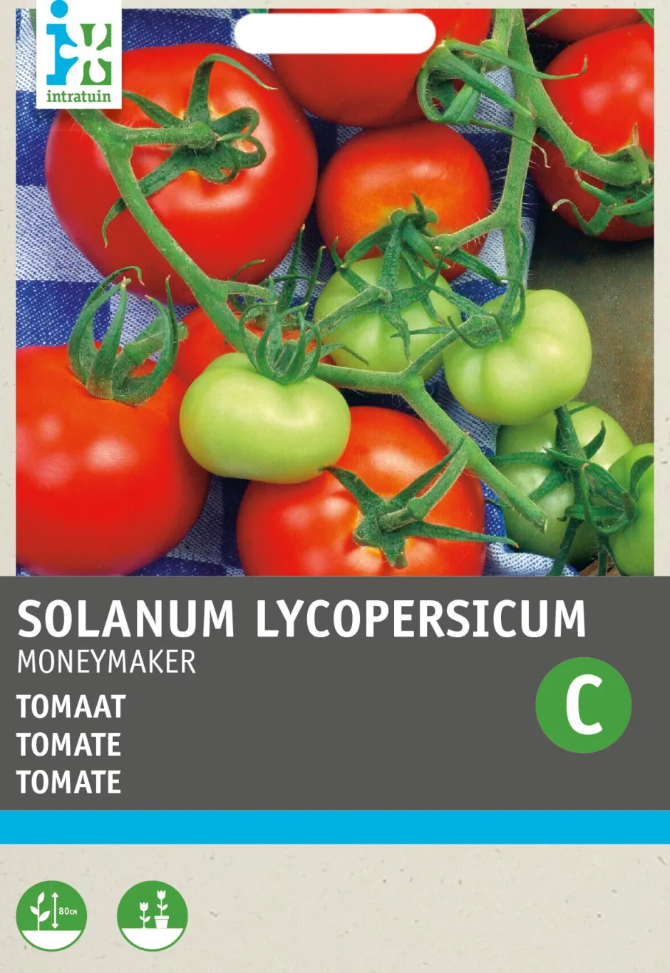 Intratuin Tomate (Solanum lycopersicum 'Moneymaker') Samen| Gemüsesamen|Saatgut