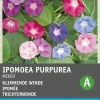 Intratuin Trichterwinde (Ipomoea purpurea) Blumensamen-Mischung| Saatgut|Blühende Pflanzen