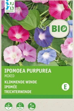Intratuin Trichterwinde (Ipomoea purpurea) (BIO) Samen-Mischung| Saatgut