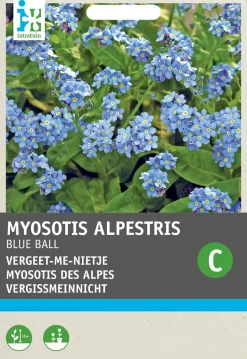 Intratuin Vergissmeinnicht (Myosotis alpestris 'Blue ball') Blumensamen| Saatgut|Blühende Pflanzen