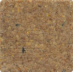 Intratuin Vogelfutter Fettblock 10 x 3,5 x 10 cm| Gartenvögel|Vogelfutter