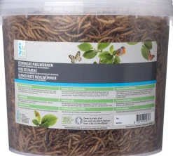 Intratuin Vogelfutter getrocknete Mehlwürmer 860 g| Gartenvögel|Vogelfutter
