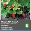 Intratuin Walderdbeere (Fragaria vesca 'Baron von Solemacher') Samen| Obstsamen|Saatgut