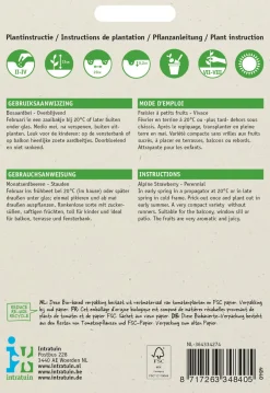 Intratuin Walderdbeere (Fragaria vesca 'Baron von Solemacher') Samen| Obstsamen|Saatgut