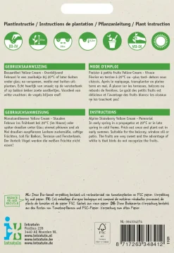 Intratuin Walderdbeere weiß (Fragaria vesca 'Yellow Cream') Samen| Obstsamen|Saatgut
