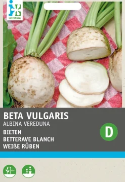 Intratuin Weiße Rübe (Beta vulgaris 'Albina Vereduna') Samen| Gemüsesamen|Saatgut