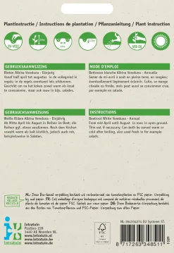 Intratuin Weiße Rübe (Beta vulgaris 'Albina Vereduna') Samen| Gemüsesamen|Saatgut