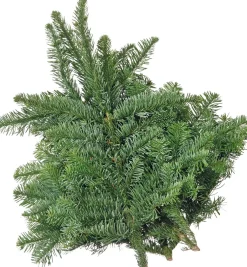 Intratuin Weihnachtsgrün 40 cm| Weihnachts- & Adventsdeko