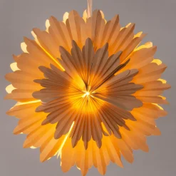 Intratuin Weihnachtsstern beleuchtet D 50 cm braun| Weihnachtssterne