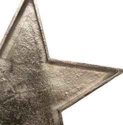 Intratuin Weihnachtsteller Stern silber 24 x 1 x 24 cm| Dekoschalen & -Teller