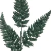 Intratuin Weihnachtszweig Farnblatt mit Glitzer dunkelgrün 63 cm| Weihnachtszweige & -Blumen