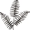 Intratuin Weihnachtszweig Farn schwarz 78 cm| Weihnachtszweige & -Blumen