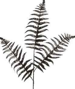 Intratuin Weihnachtszweig Farn schwarz 78 cm| Weihnachtszweige & -Blumen