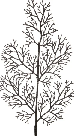 Intratuin Weihnachtszweig Koralle schwarz 45 cm| Weihnachtszweige & -Blumen