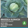 Intratuin Weißkohl (Brassica oleracea 'Langedijker Dauer') Samen| Gemüsesamen|Saatgut