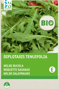 Intratuin Wilder Rucola (Diplotaxis tenuifolia) (BIO) Samen| Gemüsesamen|Saatgut
