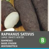 Intratuin Winterrettich (Raphanus sativus 'Langer Schwarzer') Samen| Gemüsesamen|Saatgut