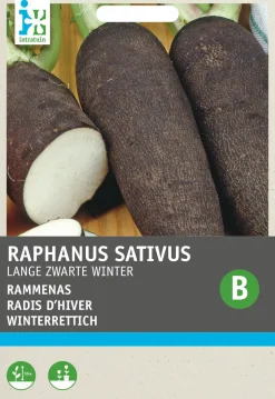 Intratuin Winterrettich (Raphanus sativus 'Langer Schwarzer') Samen| Gemüsesamen|Saatgut