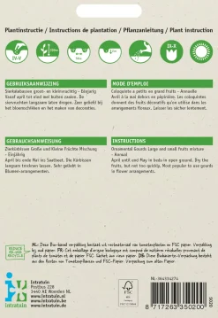 Intratuin Zierkürbis (Cucurbita pepo) Samen-Mischung| Gemüsesamen|Saatgut