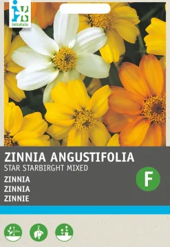 Intratuin Zinnie (Zinnia angustifolia 'Star Starbright') Blumensamen-Mischung| Blühende Pflanzen|Saatgut