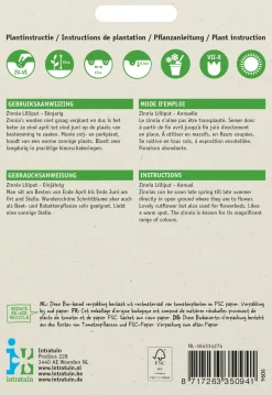 Intratuin Zinnie (Zinnia elegans 'Pompon') Blumensamen-Mischung| Saatgut|Blühende Pflanzen