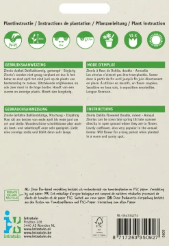 Intratuin Zinnie (Zinnia elegans) Blumensamen-Mischung| Saatgut|Blühende Pflanzen