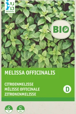 Intratuin Zitronenmelisse (Melissa officinalis) (BIO) Samen| Kräutersamen|Saatgut