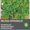 Intratuin Zitronenmelisse (Melissa officinalis) Samen| Kräutersamen|Saatgut
