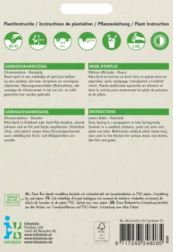 Intratuin Zitronenmelisse (Melissa officinalis) Samen| Kräutersamen|Saatgut