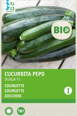 Intratuin Zucchini (Curcurbita pepo 'Dunja') (BIO) Samen| Gemüsesamen|Saatgut