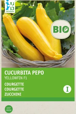 Intratuin Zucchini gelb (Curcurbita pepo 'Yellowfin') (BIO) Samen| Gemüsesamen|Saatgut